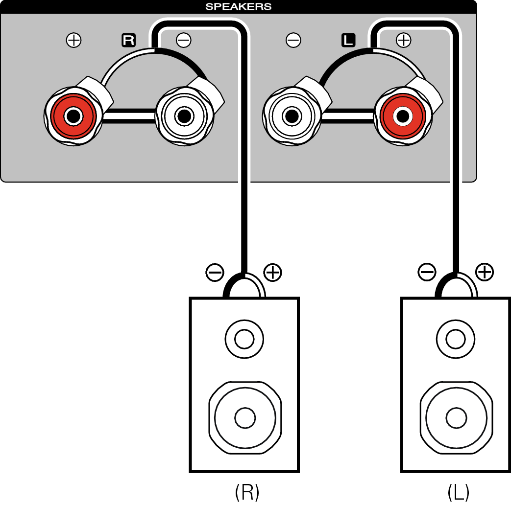 Conne SP MODEL40n